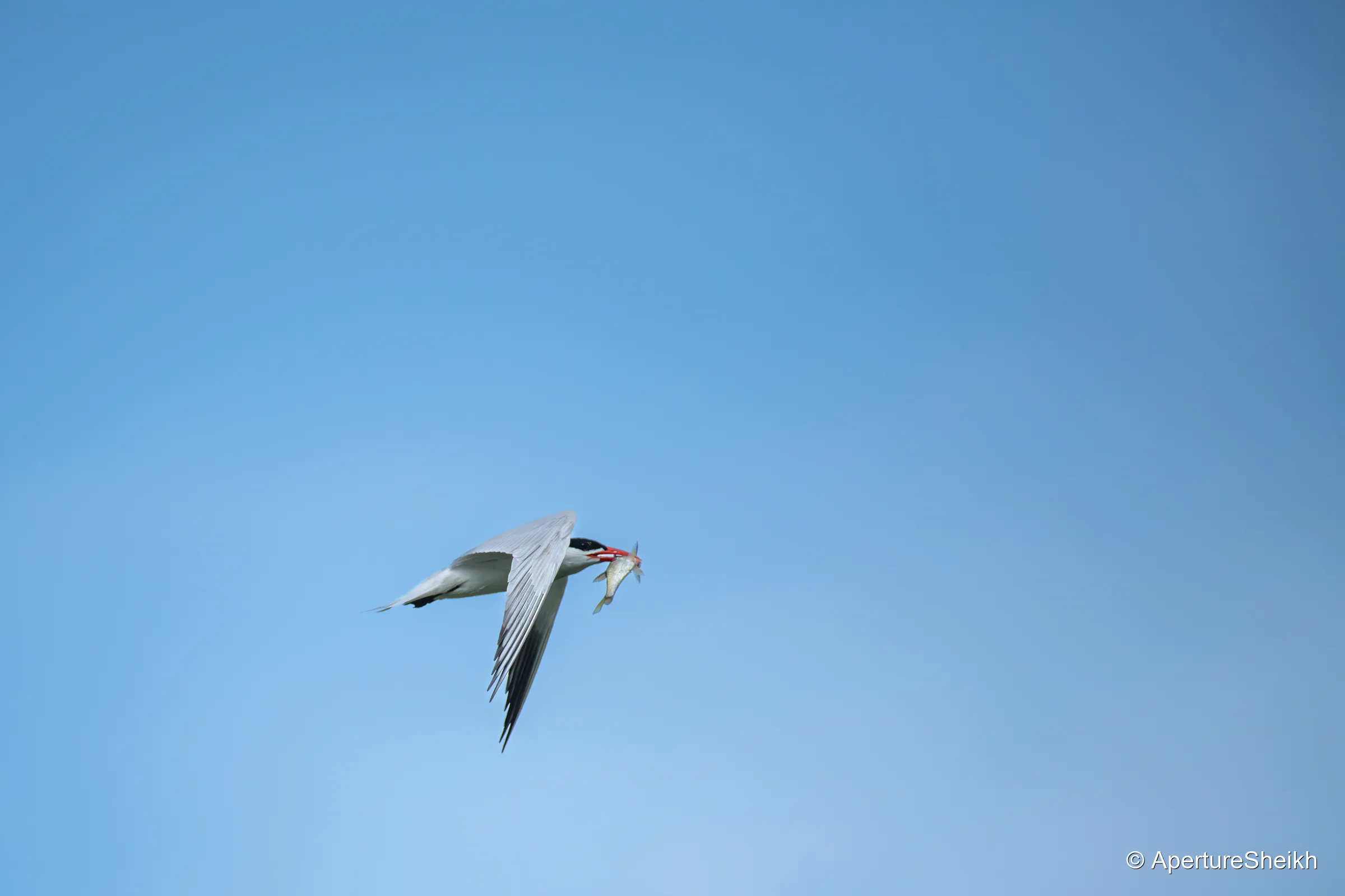 Precision in Flight